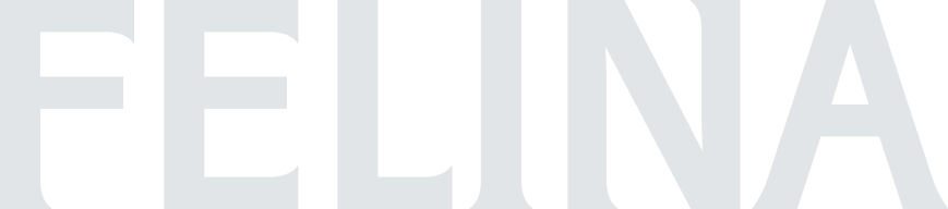 Logo Felina White slider